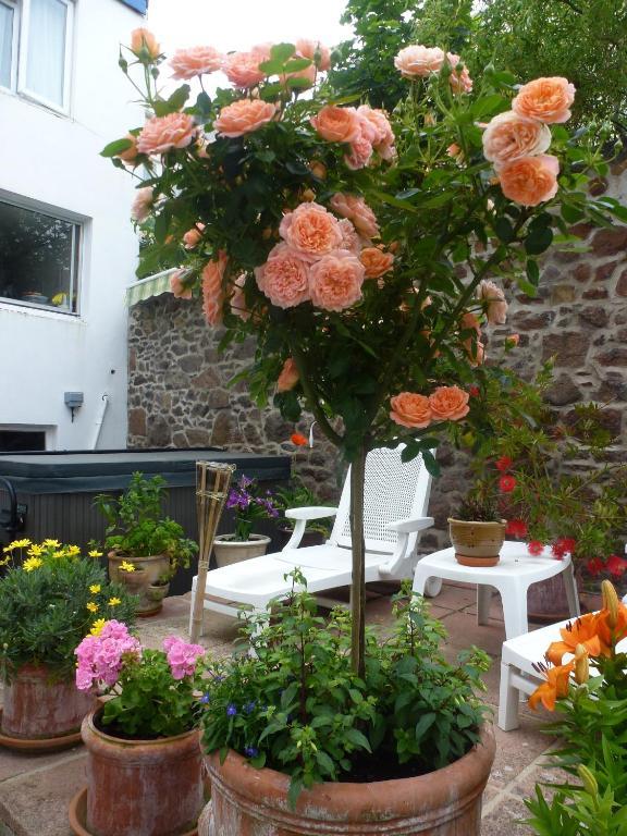 Bayview Guest House Saint Helier Jersey Buitenkant foto